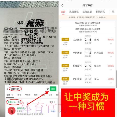 2026世界杯竞猜投注:那些年我踩过的坑与避雷实战指南 2026世界杯竞猜投注:那些年我踩过的坑与避雷实战指南